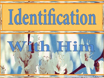 Identification With Him (devotional)03-19 (blue)